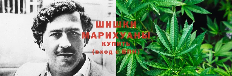 Конопля White Widow  где продают   MEGA зеркало  Константиновск 